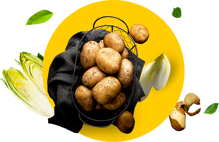 Aardappelen - Witloof van de beste kwaliteit